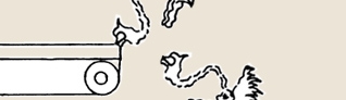 chicken5a