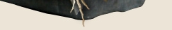 dayccdied6