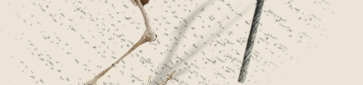 drugteam2