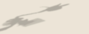 idontreally05