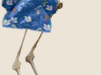 ihavent7
