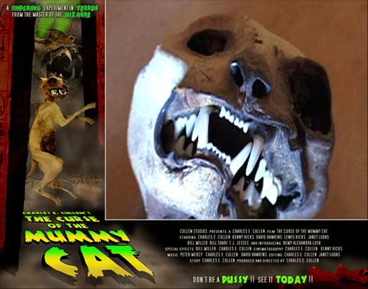 Curse Of  Mummy Cat Lobby 8